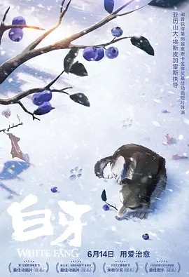 免费看91片